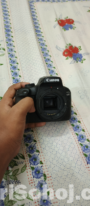 Canon 4000d
